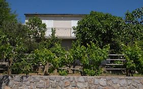 Apartments Nona